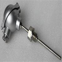 帶赫(he)斯曼接頭(tou)型PT100熱電阻(zu)溫度傳感(gǎn)器